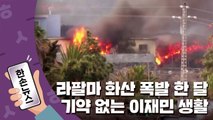 [15초뉴스] 라팔마 화산 폭발 한 달...기약 없는 이재민 생활 / YTN