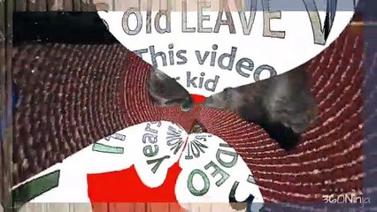 My kitty Job compilation clips l Pets and Animals l Powerdirector