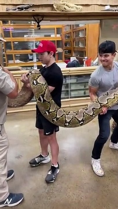 20+ Foot Python Bite This 20+ foot python bit me, and th