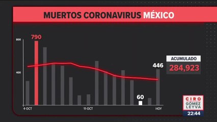 446 muertes por Covid-19 en las últimas 24 horas