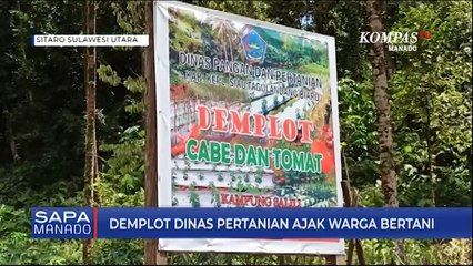 Demplot Dinas Pertanian Ajak Warga Bertani