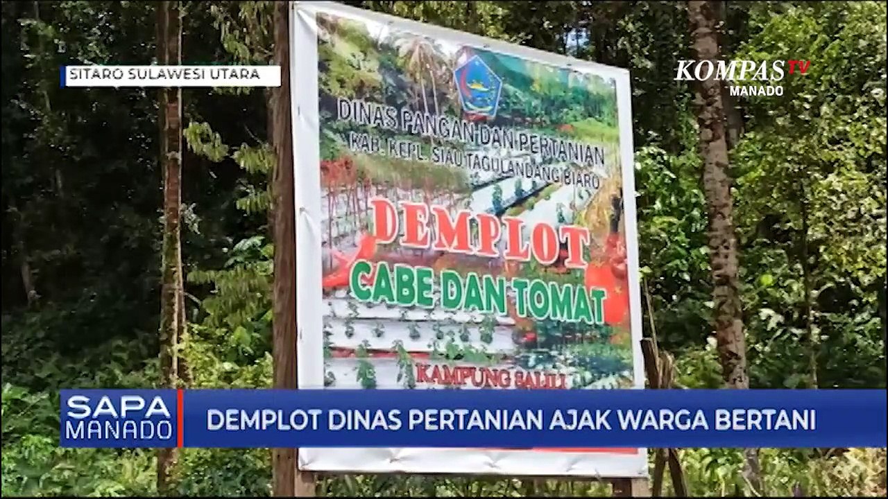 Demplot Dinas Pertanian Ajak Warga Bertani