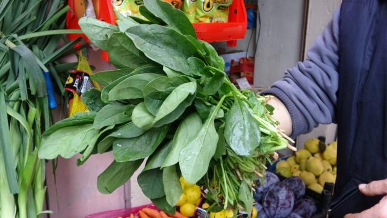 Giresun Sağlık İl Müdürü Muhammet Bulut: "Zehirli olan ıspanak değil, güzelavrat otu"