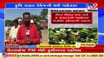 Farmers from Jamnagar demand 'clarity' on relief package for crop loss due to excess rainfall _ TV9