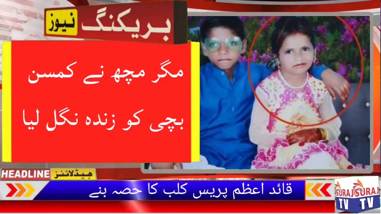 مگرمچھ_بچی_کو_زندہ_رکھا_گیا