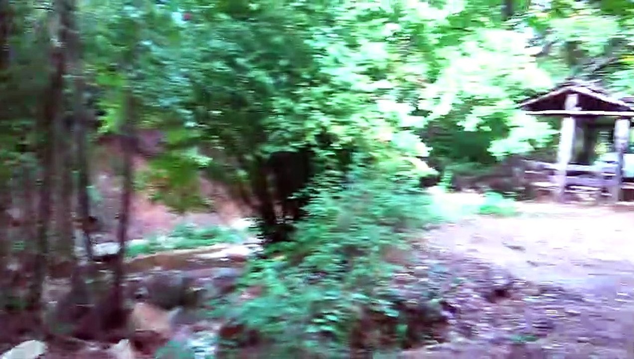 Atos, Halkidiki, Greece 08.10.21