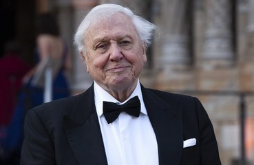 Sir David Attenborough is the most likely celebrity to tempt Brits to try new food