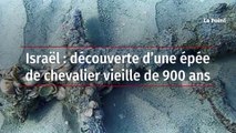 Israël : découverte d’une épée de chevalier vieille de 900 ans