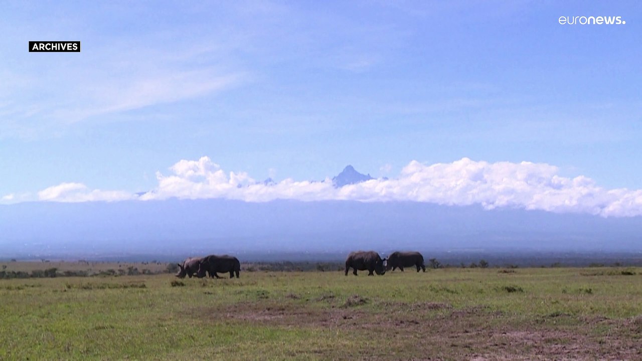 Glaciares africanos devem desaparecer até 2040