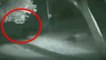 Dünyanın konuştuğu video! Ormanda görünen kurt adam, kendisini çeken kameraya saldırdı
