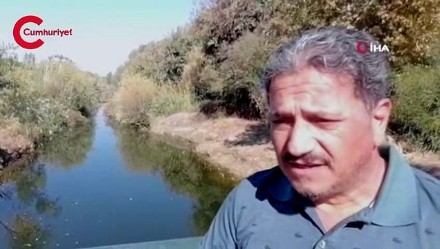 Nifrit Deresi'nde balıklar kirlilikten oksijensiz kaldı