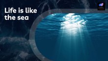 Story of Life | Inspire Your Inner | Life Lessons From the Ocean