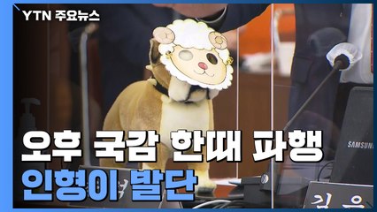 '양두구육' 인형에 한때 파행...한방 없이 고성만 / YTN