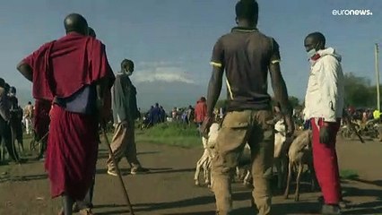 Les derniers glaciers d'Afrique disparaîtront d'ici 2040, alerte l'ONU