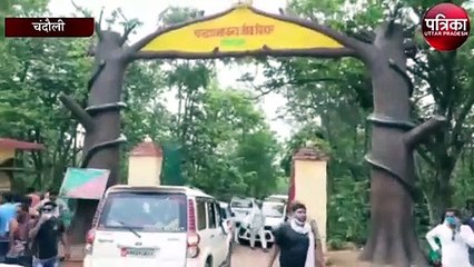 वनों की रखवाली कर रहे लोगों पर अचानक गिरी आकाशीय बिजली