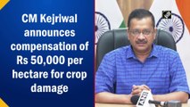 CM Kejriwal announces compensation of Rs 50,000 per hectare for farmers