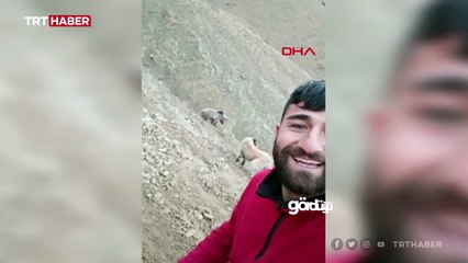 Ayının peşinden koşup özçekim yaptı