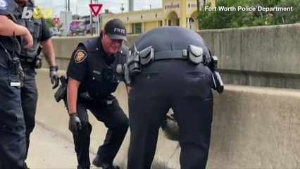 See The Moment This Kitten Was Saved From the Sewer