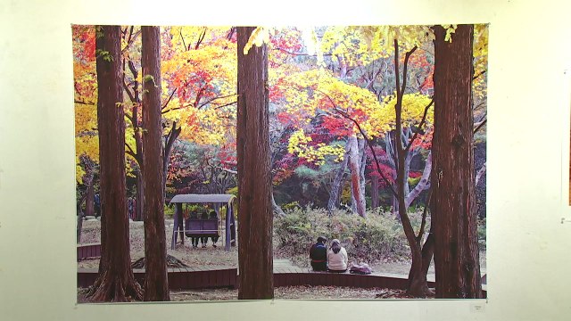 [인천] 공원의 역사 사진으로...'인천 공원사진 전시회' / YTN