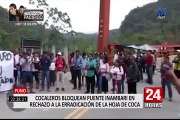 Puno: cocaleros bloquean puente Inambari en rechazo a la erradicación de la hoja de coca