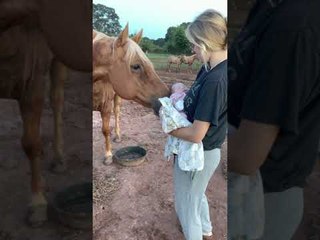 Gentle Horse Meets New Baby for the First Time