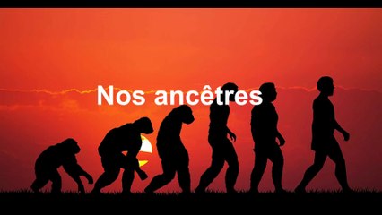 Ils étaient vraiment nuls nos ancêtres !!