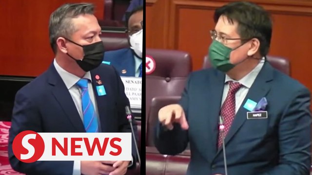 Dewan Negara: Health Ministry approved Timah labelling, says deputy minister