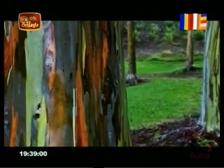 Atapattama 20-10-2021