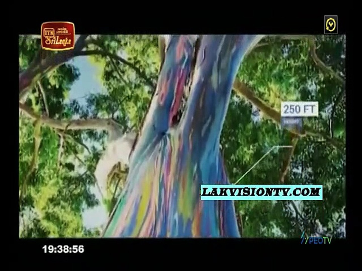 Atapattama 2021.10.20