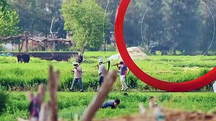 ...أيضا أن هناك البعد العالمي الذي هو طموح ...