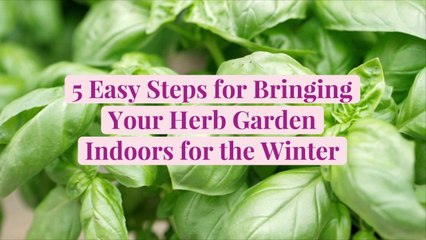 5 Easy Steps for Bringing Your Herb Garden Indoors for the Winter