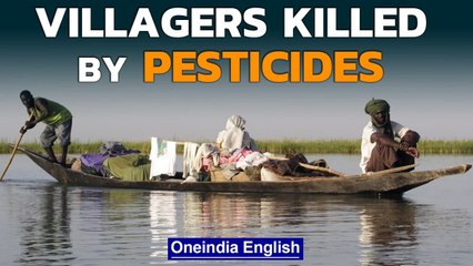 Banned pesticides poison hundreds in Nigeria | Why is there still such a demand? Oneindia News