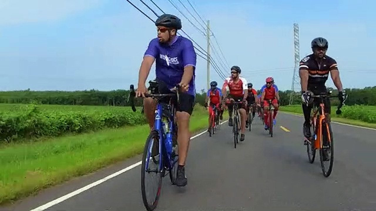 Une biche surprend un peloton de cyclistes