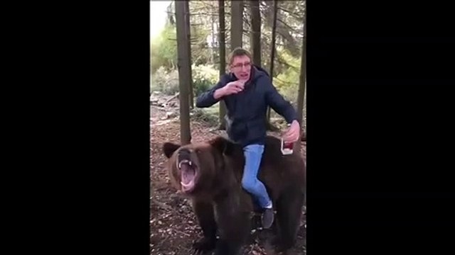 La russie résumée en une video : ours et alcool