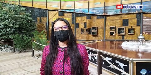 La Rodadora y la UACJ invitan a los talleres de la semana del cerebro