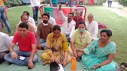 पन्द्रह दिनों में आवारा श्वानों से निजात दिलाएगी नगर परिषद