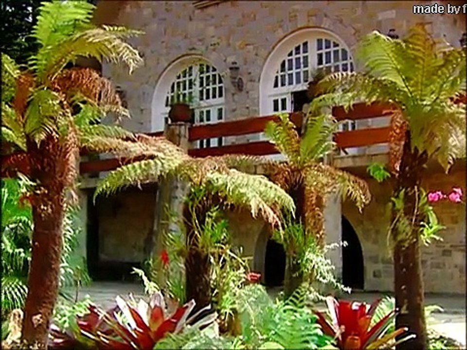 Esmeralda - Capítulo 141