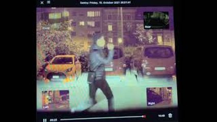 Car Captures Karate Kicks