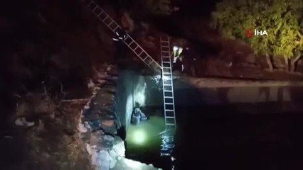Şemdinli'de sulama havuzuna düşen 2 yavru ayı kurtarıldı
