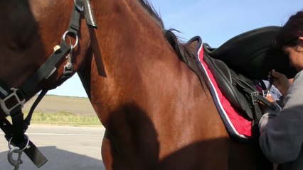 Oscar & Clara en Camargue : 3-Promenade dans les marais 1/2