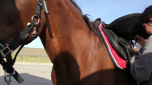 Oscar & Clara en Camargue : 3-Promenade dans les marais 1/2