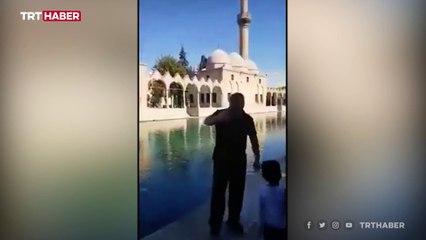 Canlı yayın yaparken Balıklıgöl'e düştü: O anlar kamerada