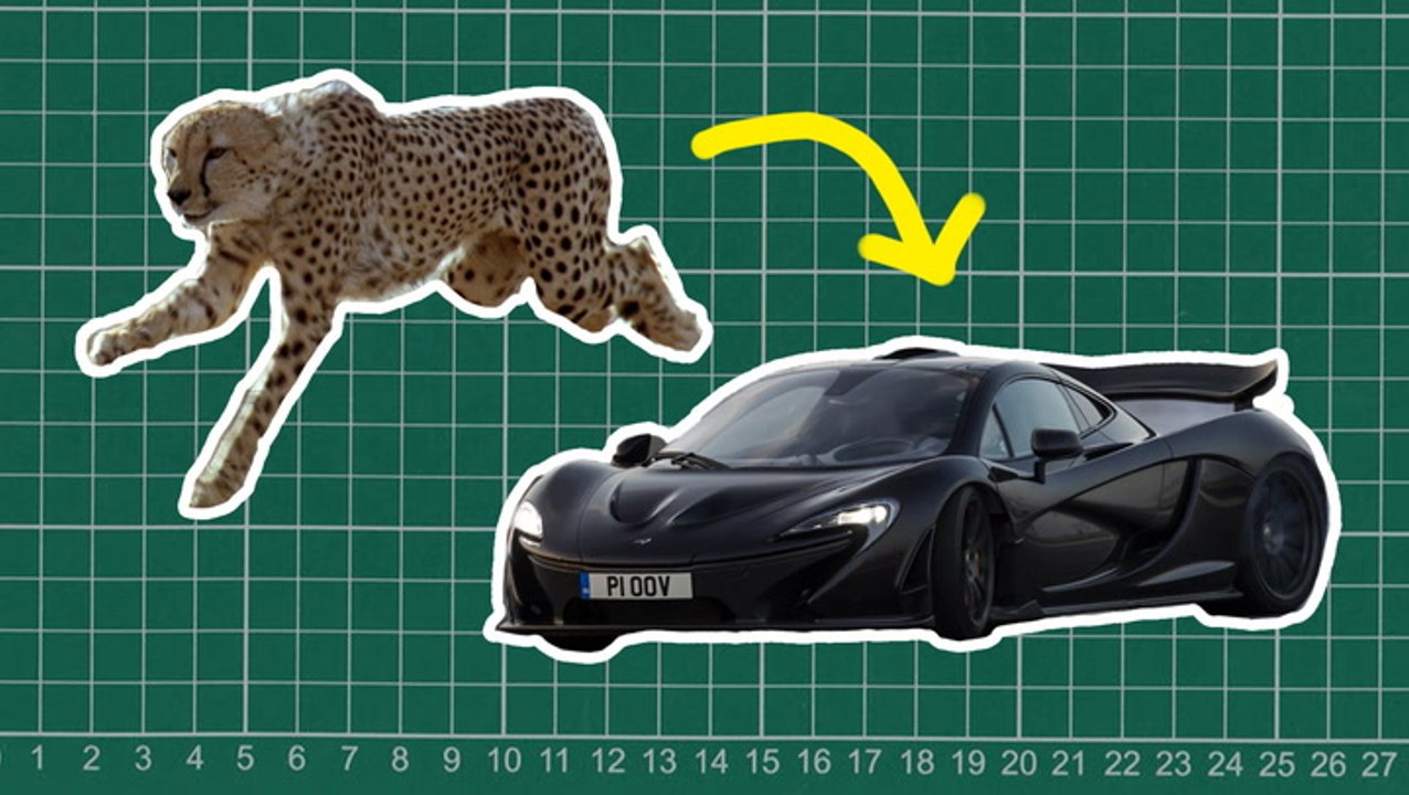 How nature inspired the design of the McLaren P1 and Mini Cooper
