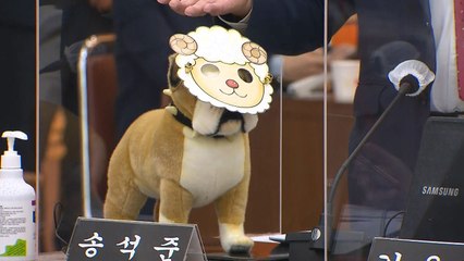 '양 탈 쓴 개 인형' 등장에 경기도 국감 한때 파행 / YTN