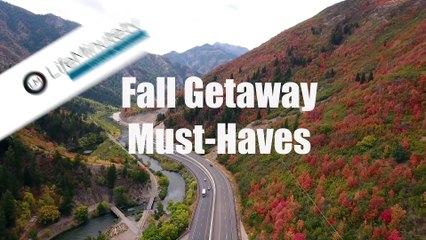 Must-Haves to Make the Most of Travel