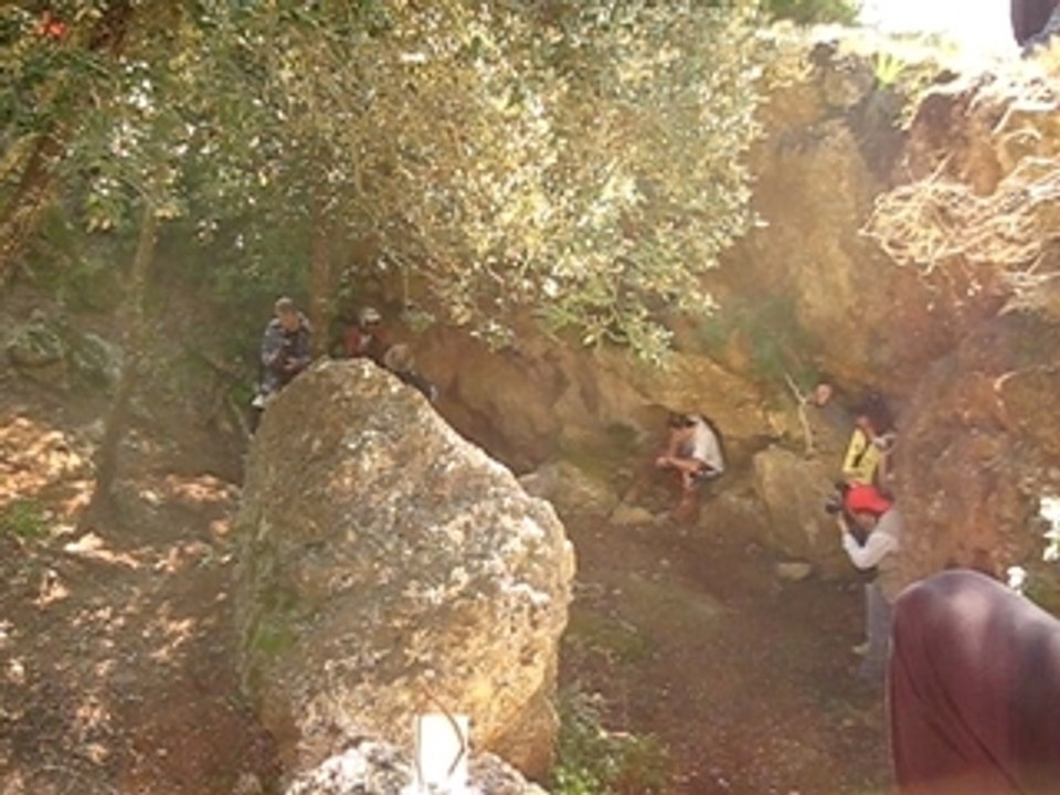 MVI_1069