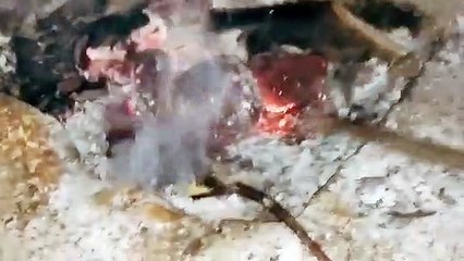 burning Coconut experiment