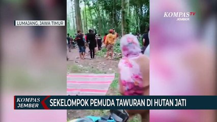 Pemuda Tawuran Usai Melihat Pertunjukan Reog di Hutan Jati
