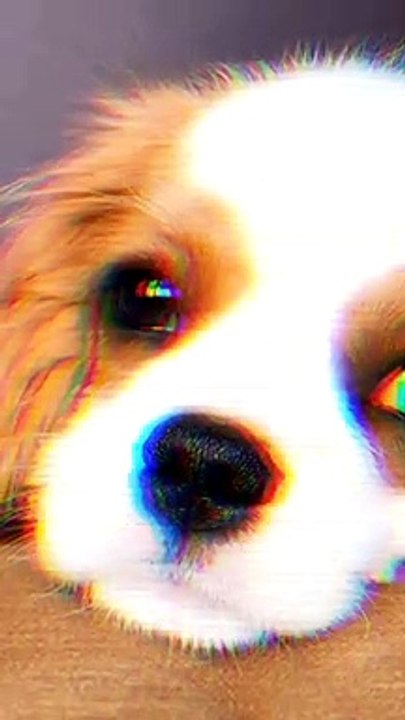 I’m waiting for you to come back home  when you will you be back?