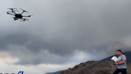 4 Anjing yang Terjebak di Gunung Berapi La Palma akan Dievakuasi dengan Drone
